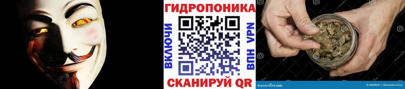 Купить закладки  Боготол  Бошки Шишки планчик 